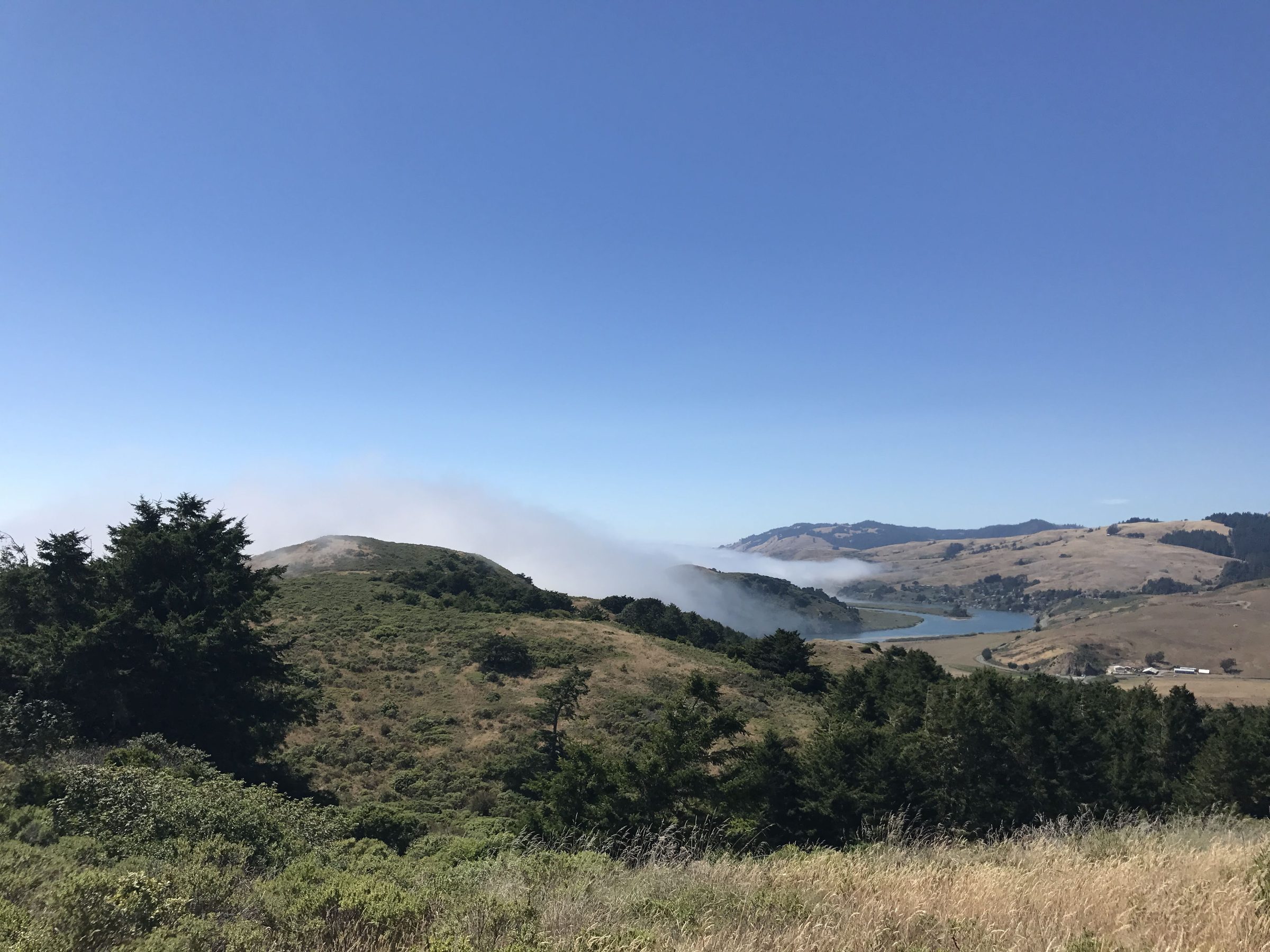 Rolling coastal hills with fog rolling through a river valley